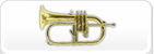 Flugel Horn